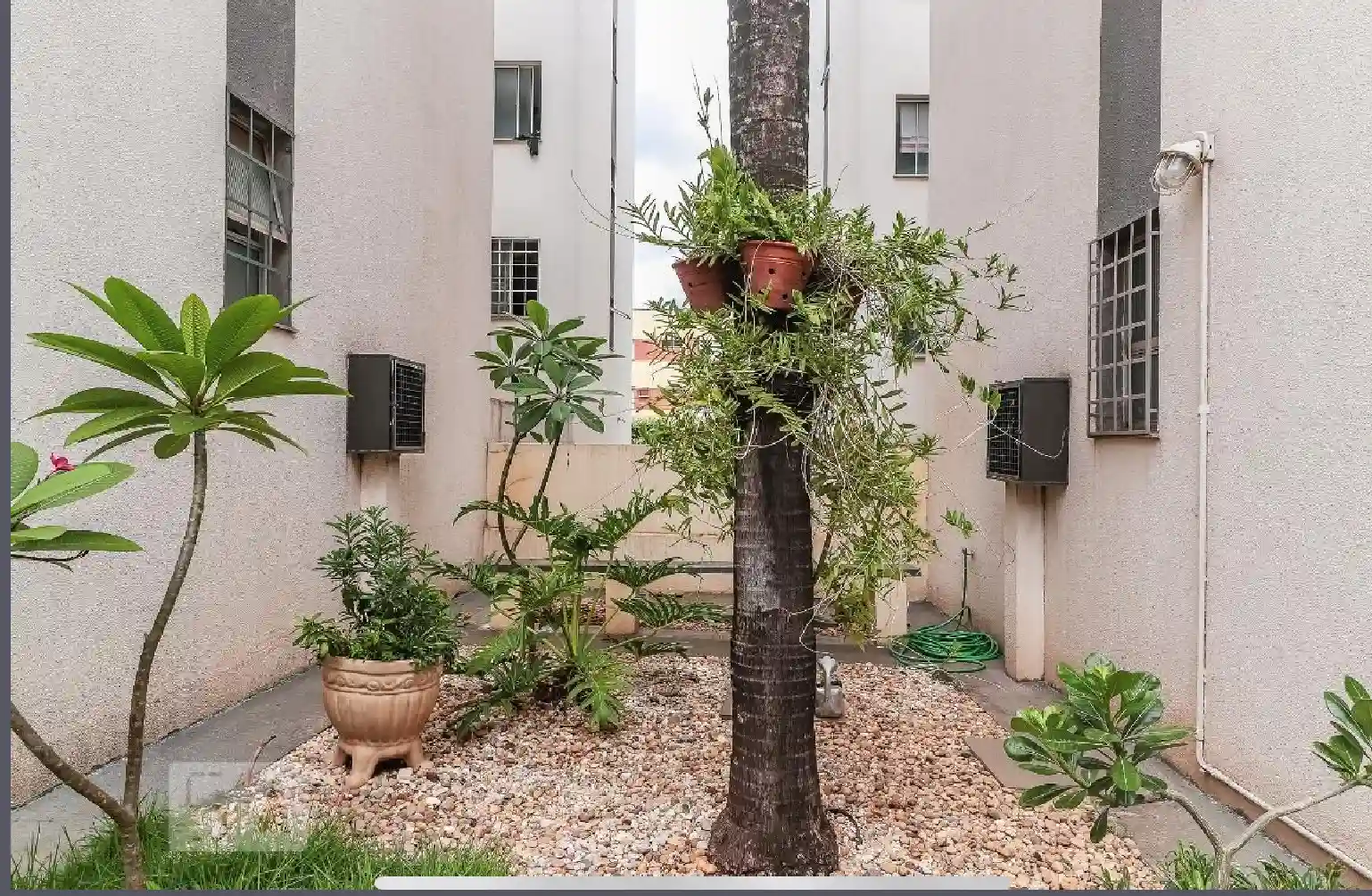 Foto - São José do Rio Preto - Vila Angélica