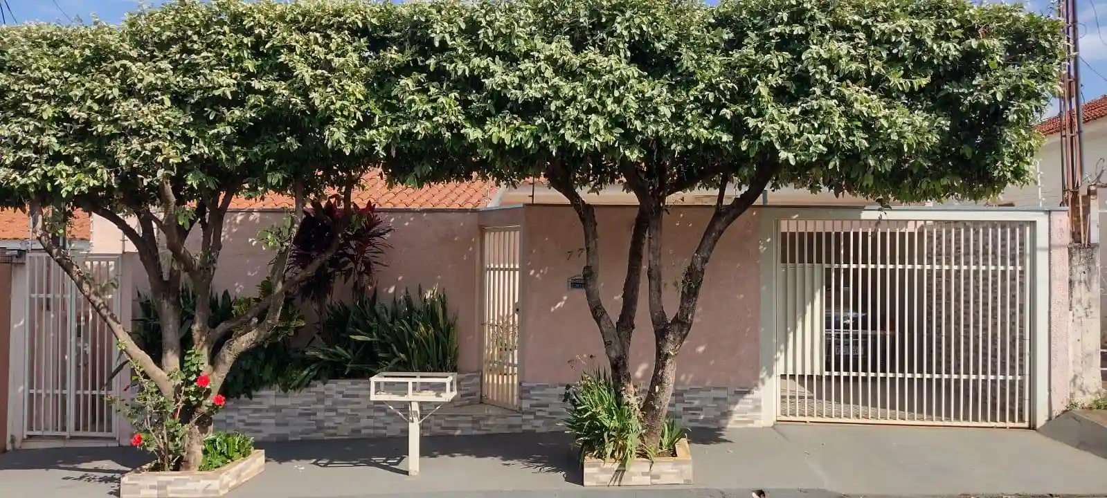 Foto - São José do Rio Preto - Jardim Caparroz