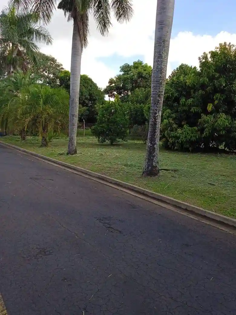 Foto - Guapiaçu - RESIDENCIAL MONTE CARLO