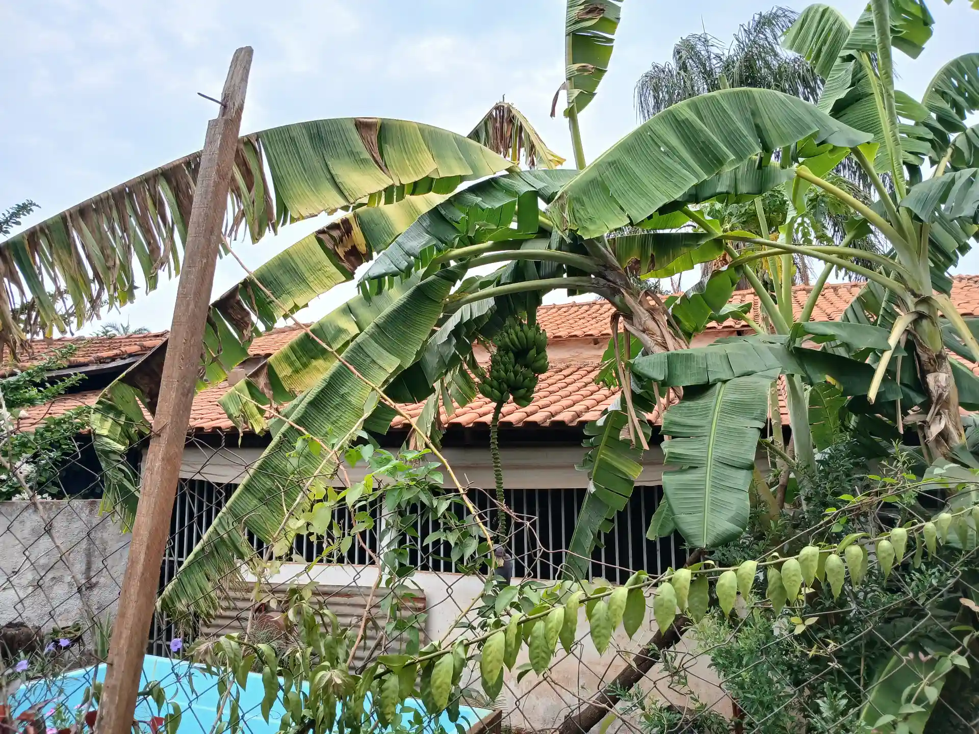 Foto - São José do Rio Preto - Estância Bela Vista III (Zona Rural)